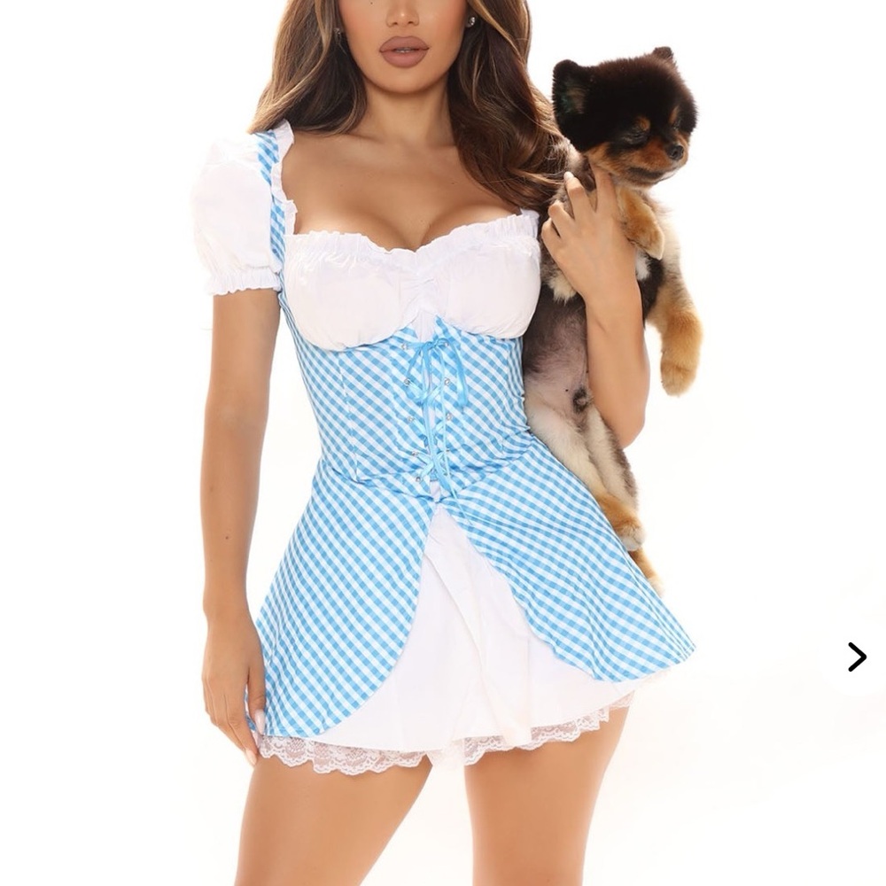 Not in Kanzas Dorothy costume